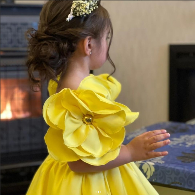 New Fashion Flowers Girls Dres - Baby Xmas Clothing review and price