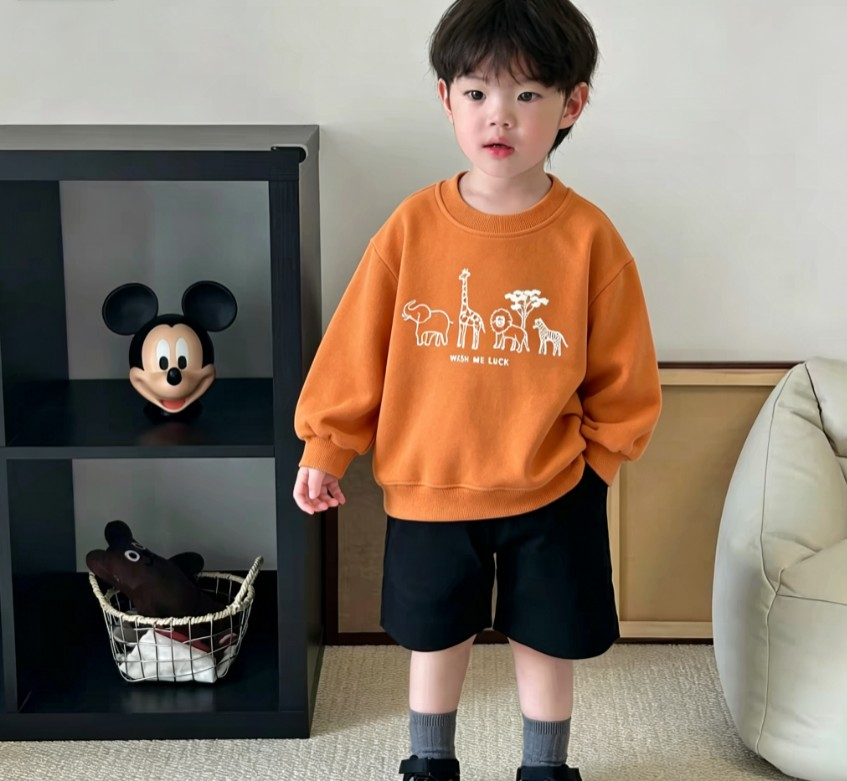 Baby Kids Casual Sweatshirt Wi - Baby Zebra Clothing review and price